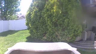 Unidentified clip