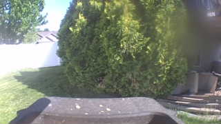 Unidentified clip