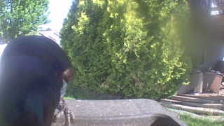 Unidentified clip