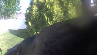 Unidentified clip