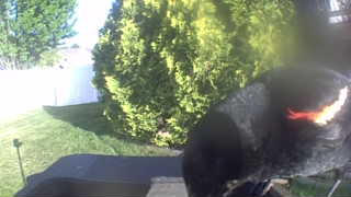 Unidentified clip