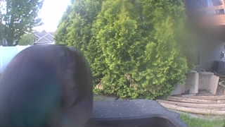 Unidentified clip