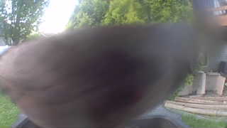 Unidentified clip
