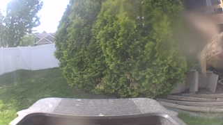 Unidentified clip
