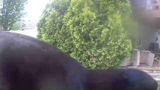 Unidentified clip