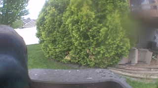 Unidentified clip