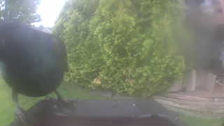 Unidentified clip
