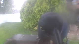 Unidentified clip