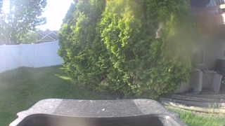 Unidentified clip