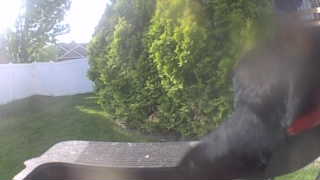 Unidentified clip