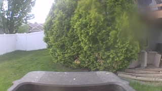 Unidentified clip
