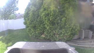 Unidentified clip