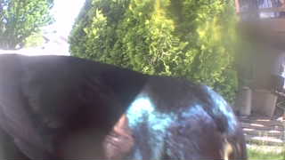 Unidentified clip