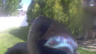Unidentified clip