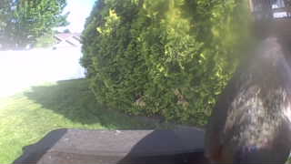 Unidentified clip