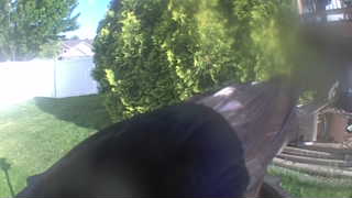 Unidentified clip