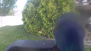 Unidentified clip