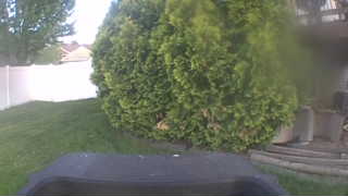 Unidentified clip