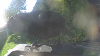Unidentified clip