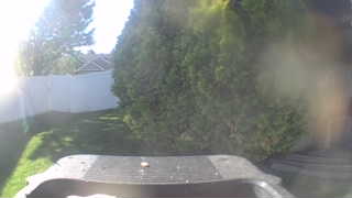 Unidentified clip