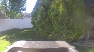 Unidentified clip