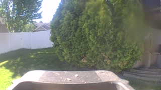 Unidentified clip