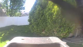 Unidentified clip