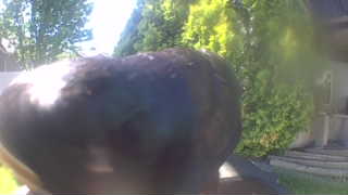 Unidentified clip