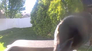 Unidentified clip