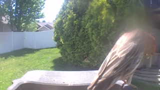 house finch