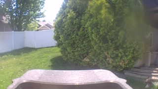 Unidentified clip