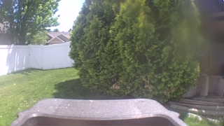 Unidentified clip
