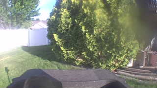 Unidentified clip