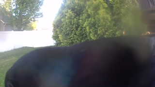 Unidentified clip