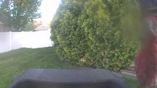 Unidentified clip