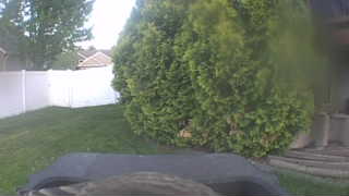 Unidentified clip