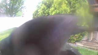 Unidentified clip