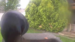 Unidentified clip