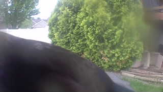 Unidentified clip