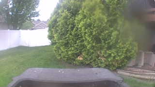 Unidentified clip
