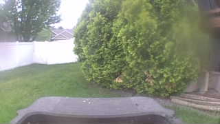 Unidentified clip