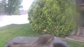 Unidentified clip