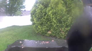 Unidentified clip