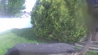Unidentified clip