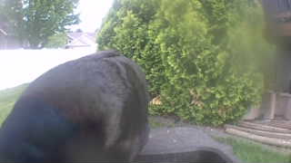Unidentified clip