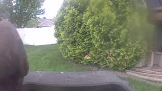 Unidentified clip