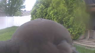 Unidentified clip