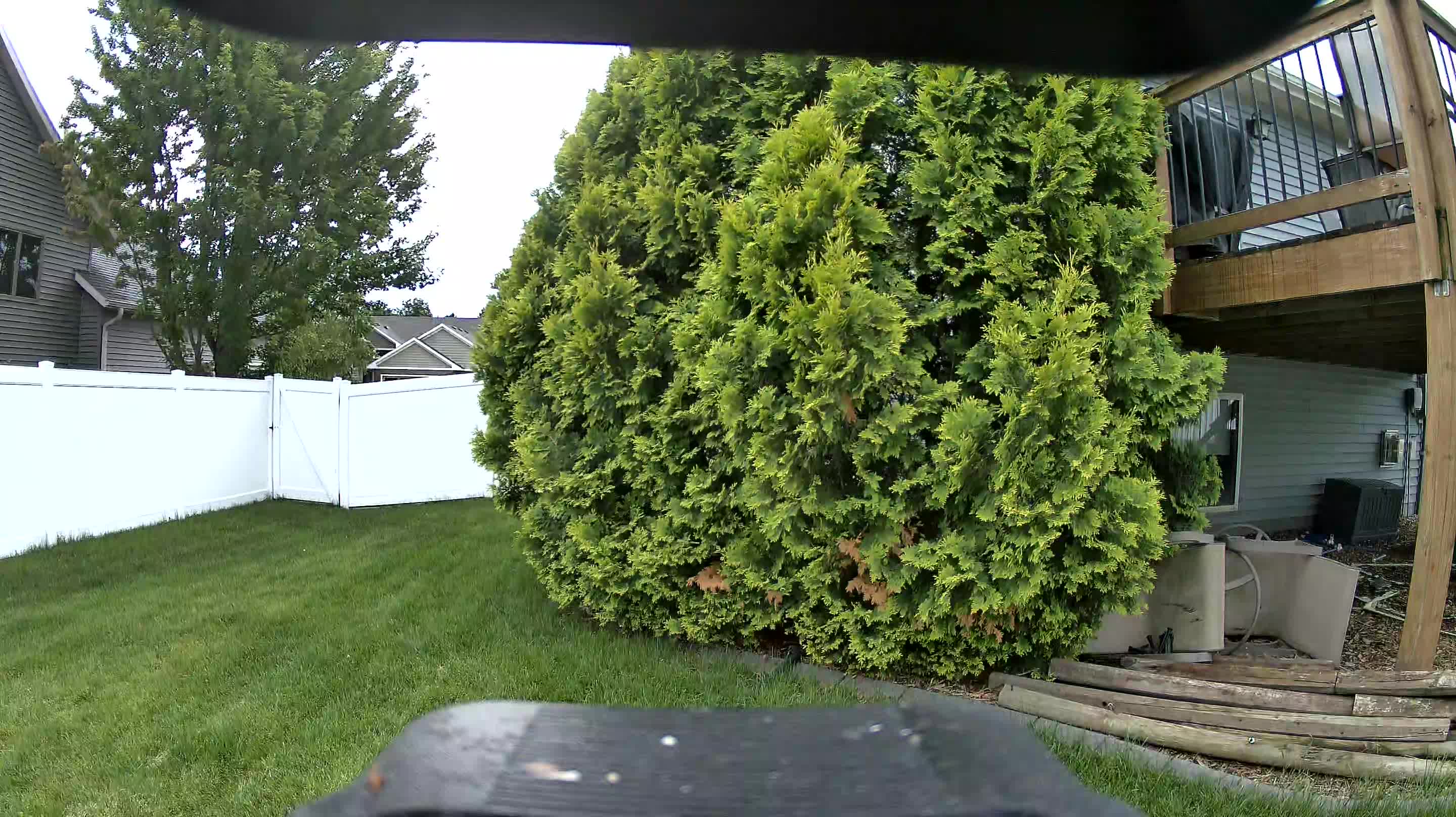 Unidentified clip