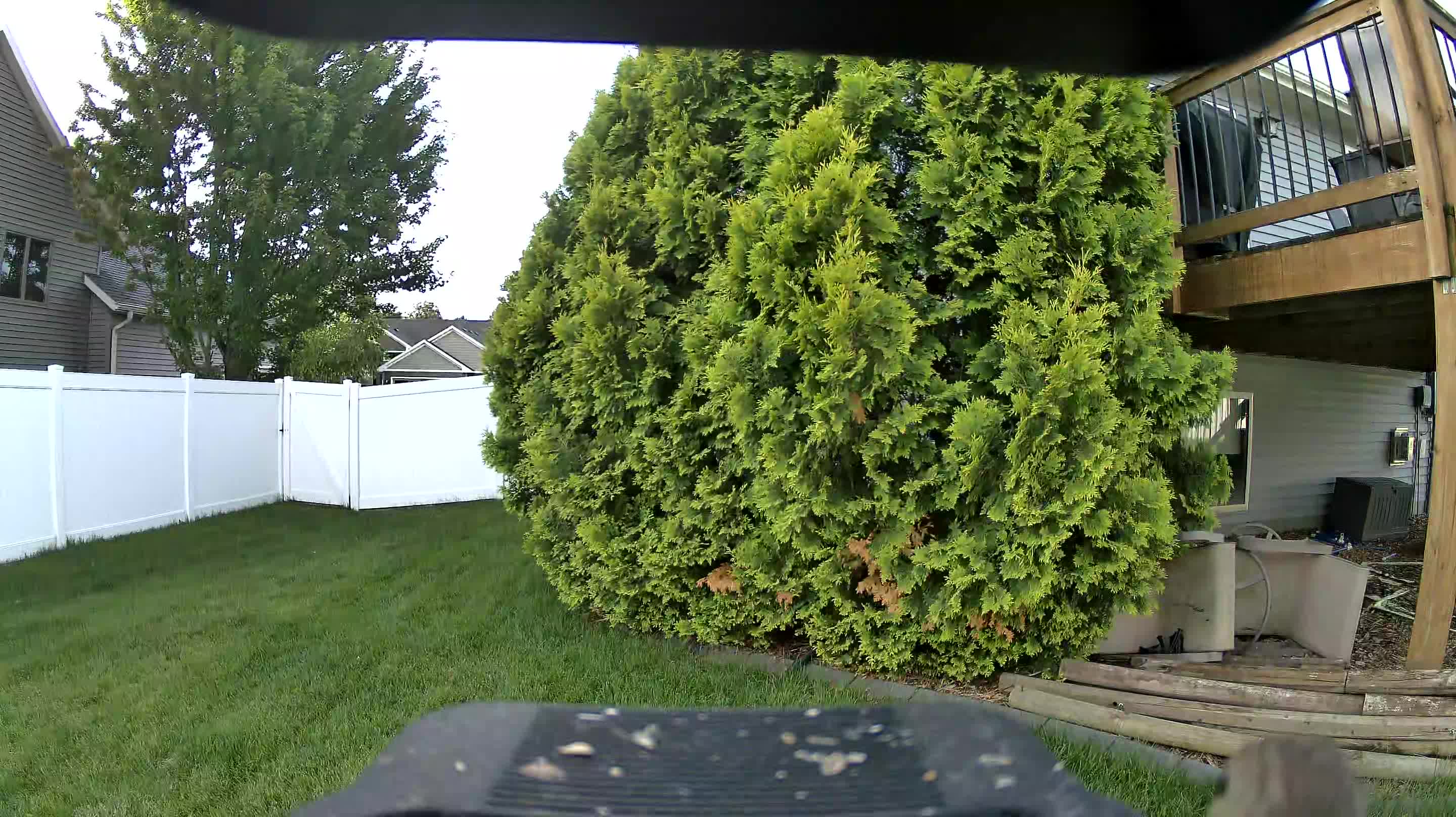 Unidentified clip