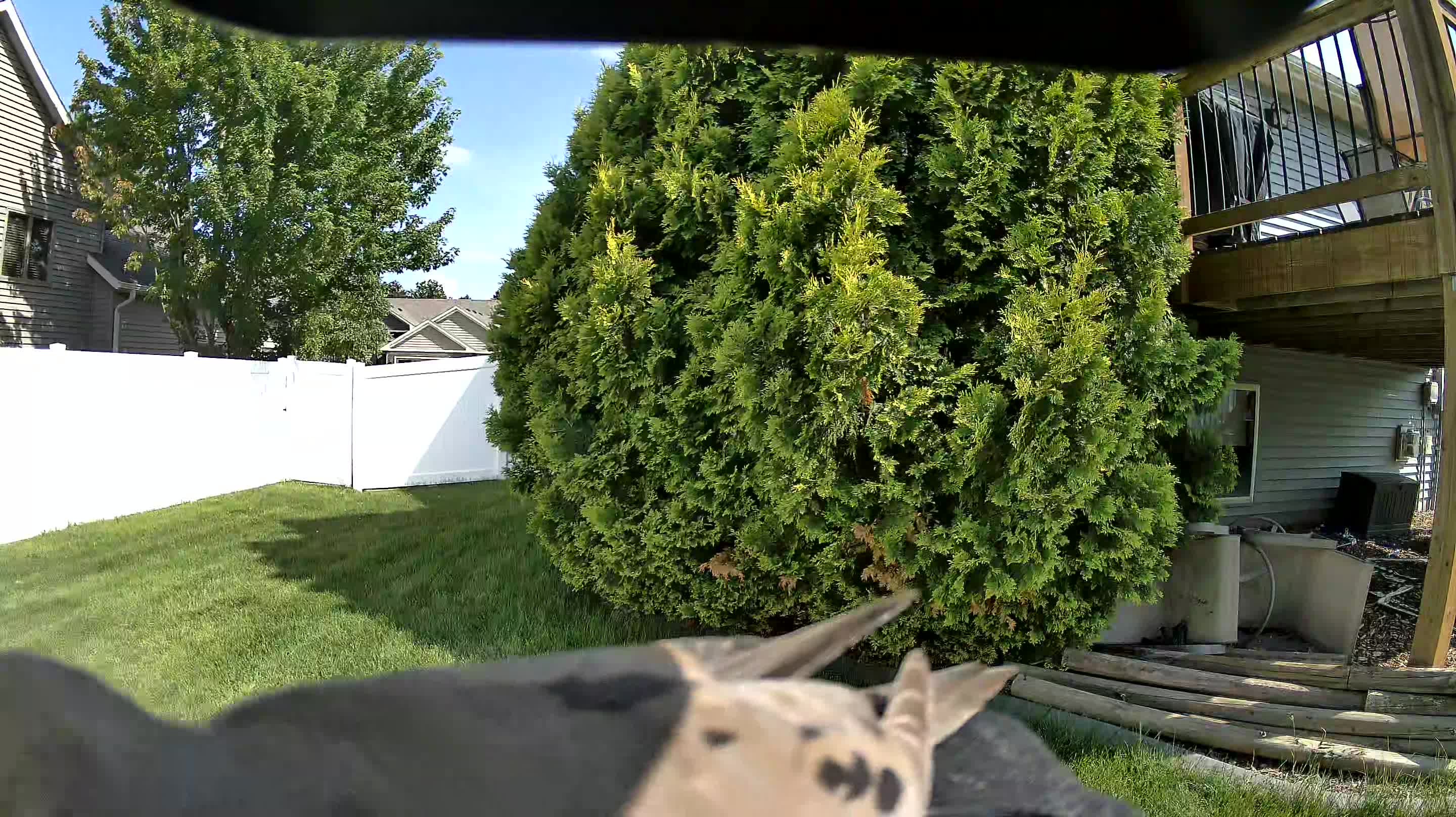 Unidentified clip
